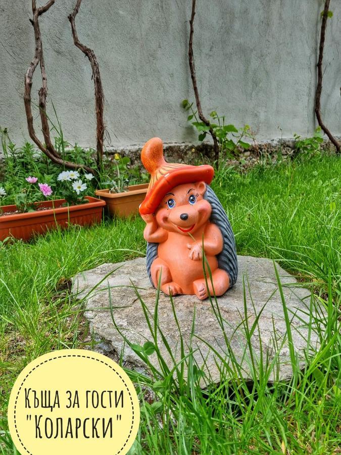 Къща За Гости Коларски Saparewa Banja Exterior foto